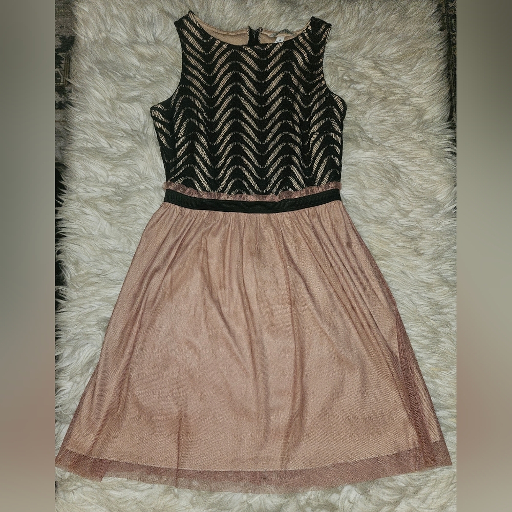 Speechless Lace & Mesh Fit & Flare Dress – Size 9